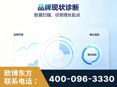 湖州-品牌现状诊断