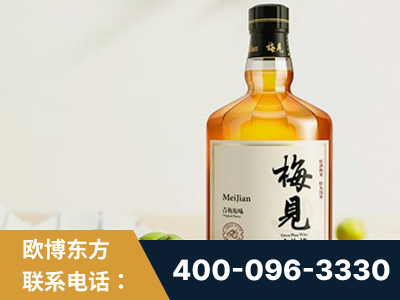 湖州-梅见青梅酒
