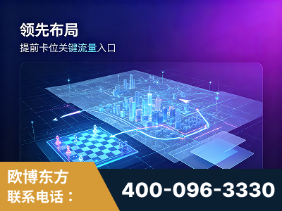 湖州-领先布局：于2024年初开启GEO业务的公司